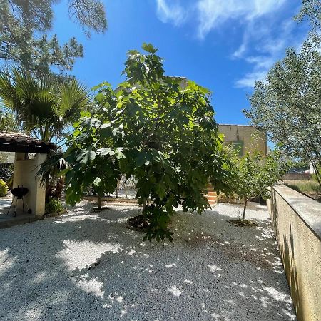Marseillan Plage Joli T2 Exterior foto